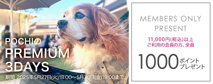 【※終了】《POCHIのPREMIUM 3DAYS》11,000円以上購入で1000ポイント全員プレゼント！