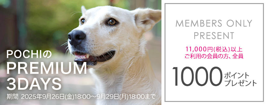 【※終了】《POCHIのPREMIUM 3DAYS》11,000円以上購入で1000ポイント全員プレゼント！