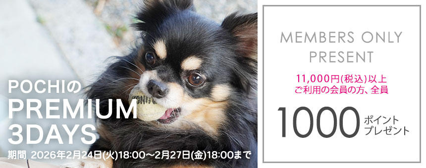 1000ポイント全員プレゼント