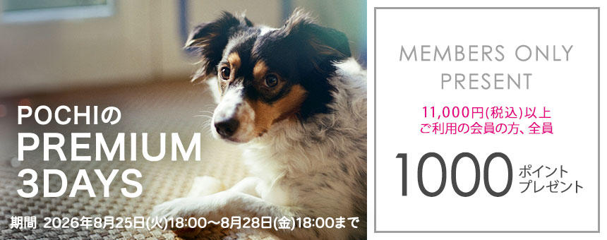 1000ポイントプレゼント