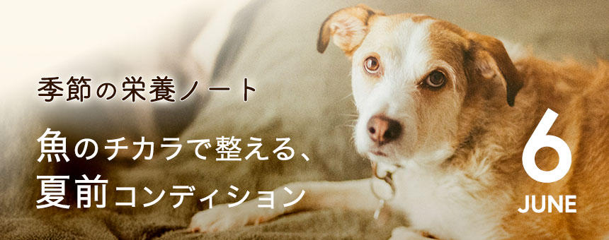 季節の栄養ノート
