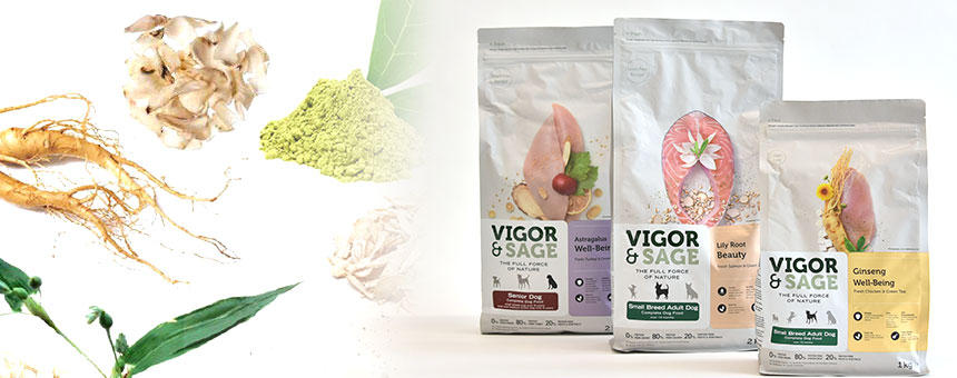 伝統的なのに、新しい。美味しく食べる漢方のチカラ VIGOR & SAGE