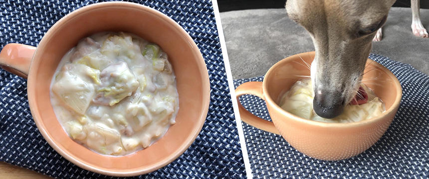 犬の手作り食レシピ　白菜と豚バラ軟骨のクリーム煮【時短】