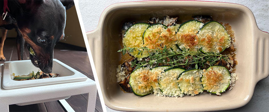 旬を楽しむ。イワシのスペイン風「パン粉焼きグリル」[#犬の手作り食レシピ]