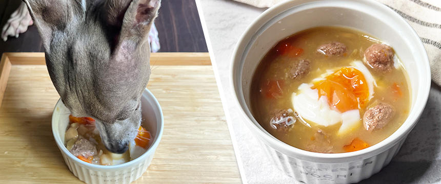 初めてでも安心！犬が喜ぶ手作りごはんレシピ #温玉入り!ミートボールとヤギミルクスープ