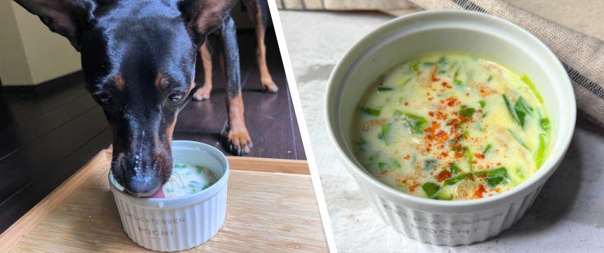 初めてでも安心！犬が喜ぶ手作りごはんレシピ #春キャベツとアミエビの豆乳スープ