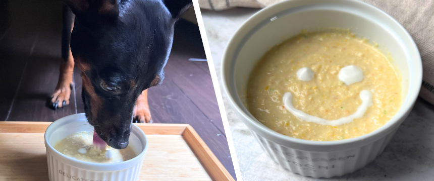 初めてでも安心！犬が喜ぶ手作りごはんレシピ #とうもろこしのおいしさを再発見!粒感を楽しめる濃厚コーンスープ