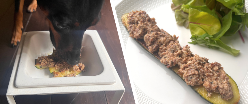 初めてでも安心！犬が喜ぶ手作りごはんレシピ ＃ズッキーニのステーキのイワシソース添え