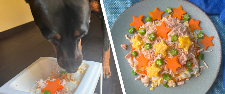 初めてでも安心！犬が喜ぶ手作りごはんレシピ ＃七夕ちらし寿司風