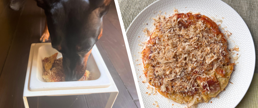 初めてでも安心！犬が喜ぶ手作りごはんレシピ ＃削り節香る！豚肉でお好み焼き風