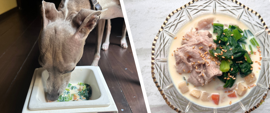 初めてでも安心！犬が喜ぶ手作りごはんレシピ ＃豚しゃぶ豆乳スープでさっぱり水分補給