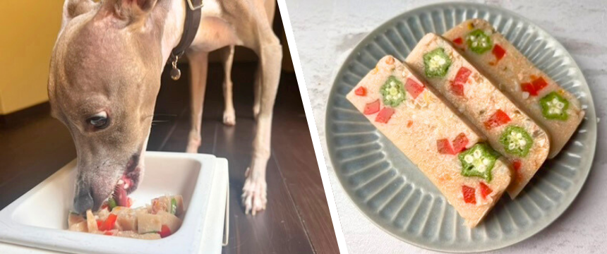 初めてでも安心！犬が喜ぶ手作りごはんレシピ ＃チキンのテリーヌ