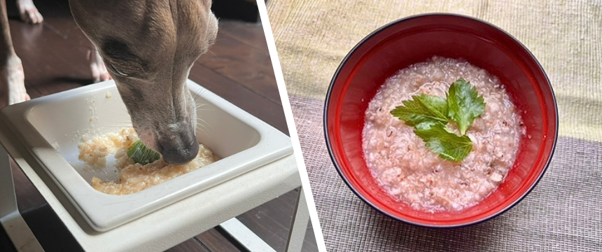 初めてでも安心！犬が喜ぶ手作りごはんレシピ ＃非常食アレンジのポン菓子おかゆ