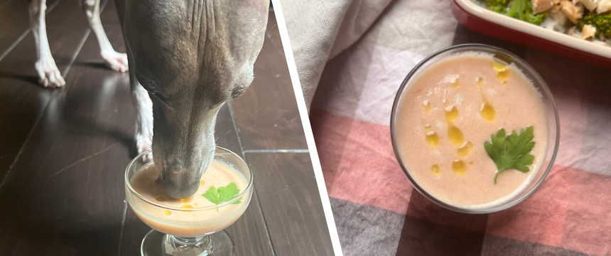 初めてでも安心！犬が喜ぶ手作りごはんレシピ ＃トマト豆乳スープ