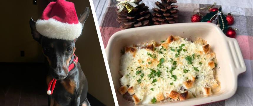 初めてでも安心！犬が喜ぶ手作りごはんレシピ ＃ポトフのアレンジしみしみグラタン
