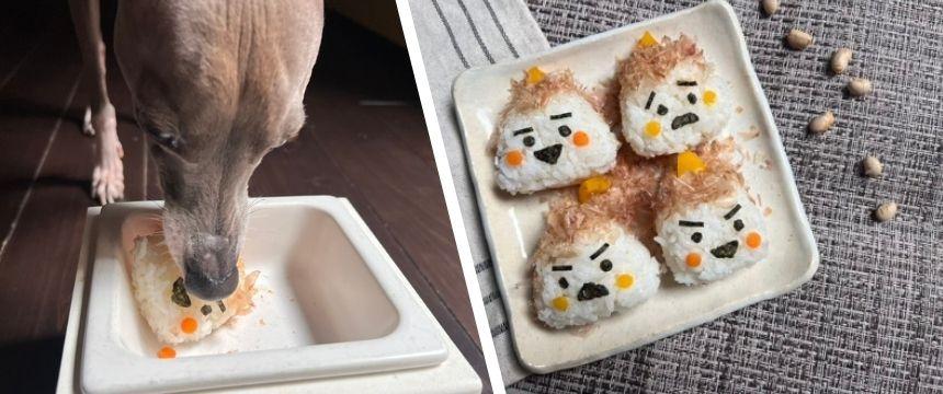 初めてでも安心！犬が喜ぶ手作りごはんレシピ ＃見た目に楽しい！削り節で簡単