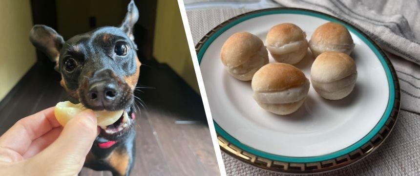 犬と楽しむ！簡単バレンタインレシピ ＃チキンクリームでなんちゃってマリトッツォ