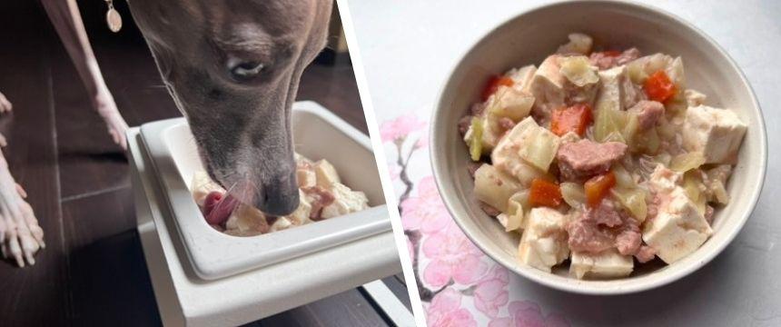 初めてでも安心！春キャベツと