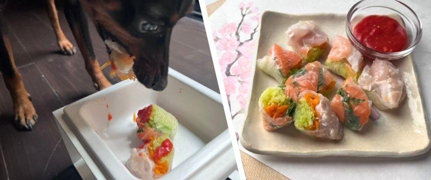 初めてでも安心！春キャベツと