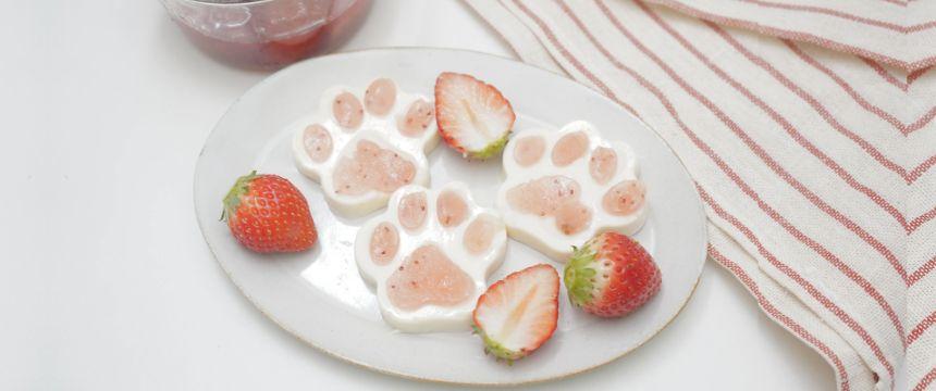 犬と楽しむ！いちごソースのお花見レシピ ＃ぷにぷに肉球ヨーグルトゼリー