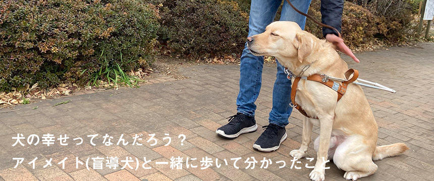 犬の幸せって何だろう？アイメイト(盲導犬)と一緒に歩いて分かったこと＜アイメイト協会を訪問して＞	