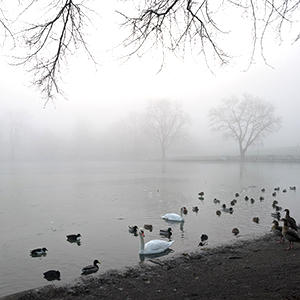 1日中、霧が晴れない日も。見通しの悪い、真っ白な世界が広がっています。