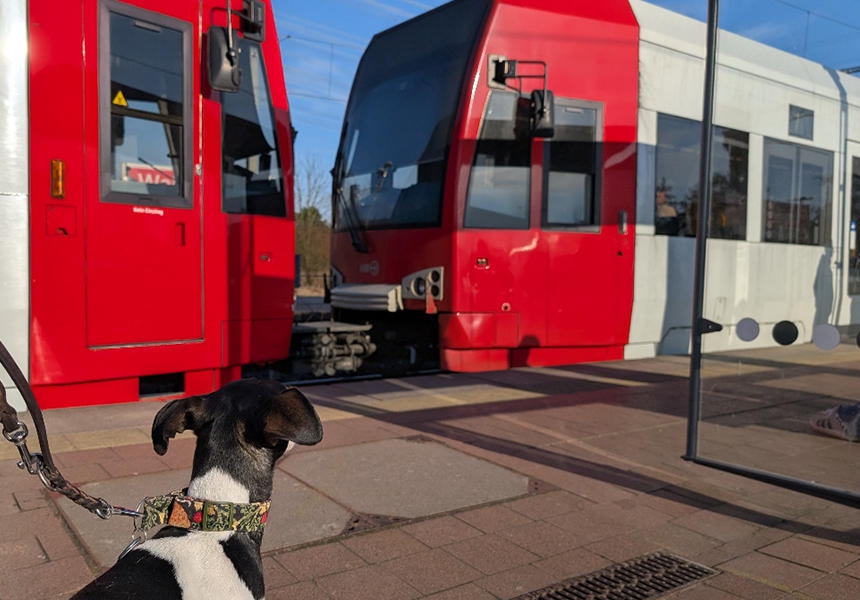 ケルンを走る路面電車。