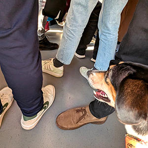 混雑気味の車内。タビィには人々の脚だけが見えているのでしょうか。