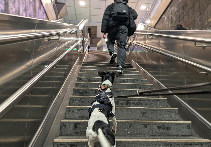 地下鉄の駅から地上へ上がる階段。階段の両サイドはエスカレーターです。