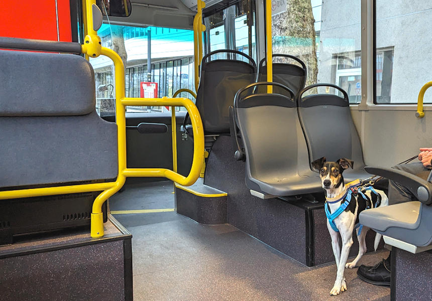 ドイツの街角から～ペットと移動する、暮らしに根付くドイツの公共交通事情～