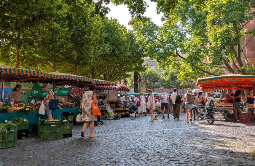 緑に囲まれた夏のマルクト。