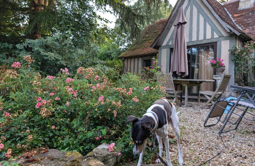 私たちが借りたジトの前庭。