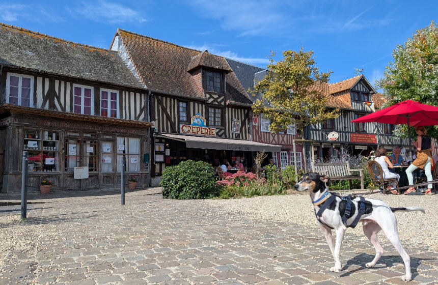 ドイツの街角から～フランス ノルマンディの滞在記録～