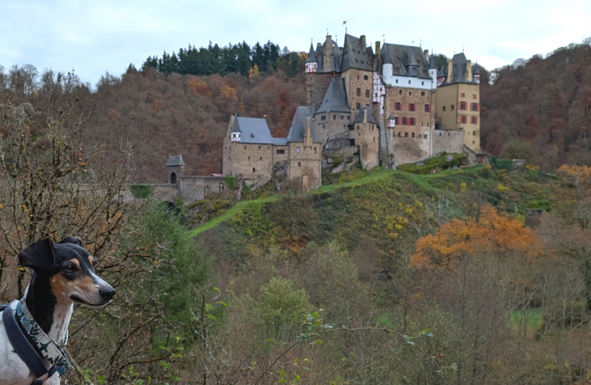 ドイツの街角から～ドイツの晩秋から冬の時期～