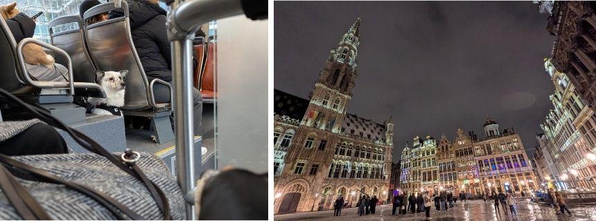 写真左：2頭の小型犬を連れている乗客がバスの車内に。／写真右：中心地にある広場、グラン・プラス。夜のイルミネーションがきれいでした。