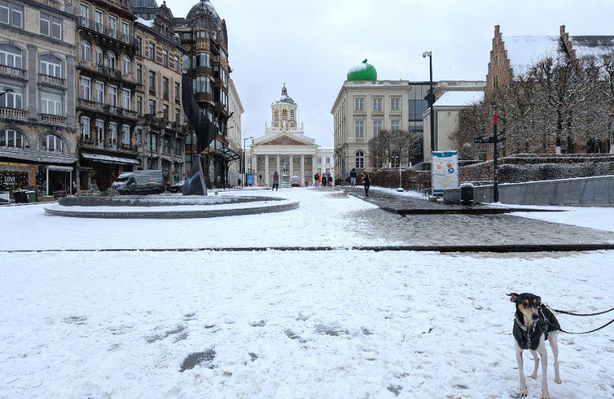 ドイツの街角から～ベルギー ブリュッセルへ初めての列車旅～