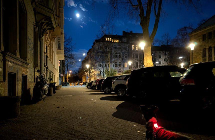 1月初旬の朝。西の空にはまだ月が出ていました。