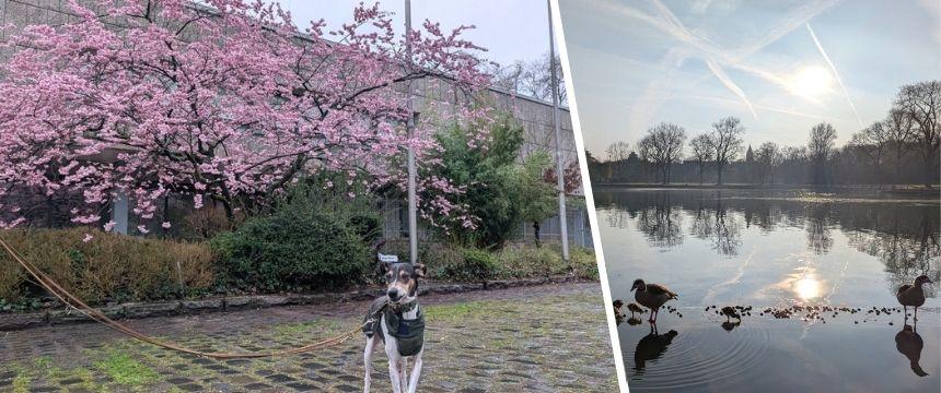 ドイツの街角から～夏時間と冬時間の切り替え～