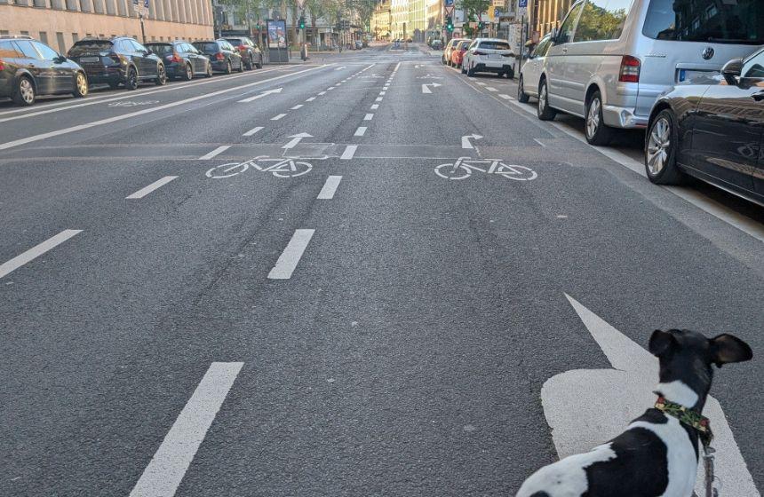 以前、この道路は３車線でしたが、3つの自転車専用レーンが誕生し、車が通れるのは１車線のみとなりました。