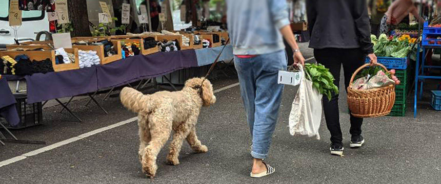 ドイツの街角から　～ドイツの夏のお楽しみ、ごちそうベリー～