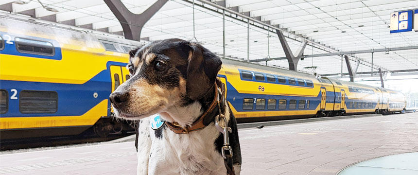 ドイツの街角から　～ドイツの鉄道を乗りこなすポチンスキー～