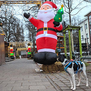 12月中、クリスマスマーケットは街のあちこちで開かれていました。早朝のだれもいない、小さなクリスマスマーケットでサンタクロースに遭遇。