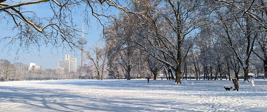 大雪が降った翌日の公園。スペイン育ちのタビィにとって初めての雪でした。